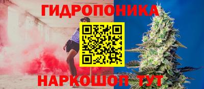 индика Рязань