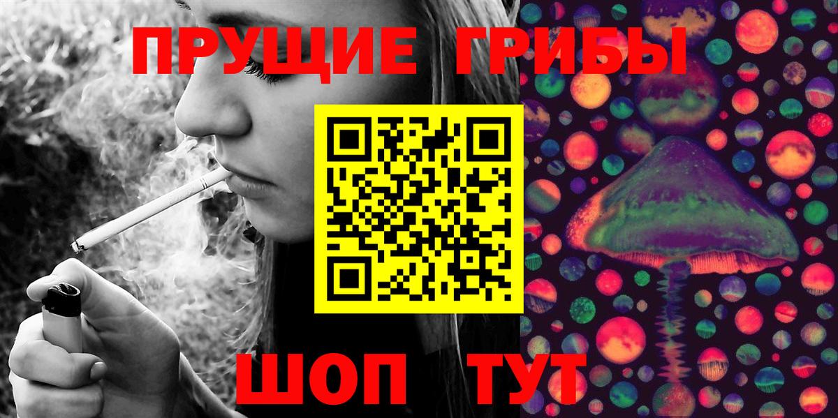 Рославль  Псилоцибиновые грибы прущие грибы  Вход с VPN  Галлюциногенные грибы Psilocybe 