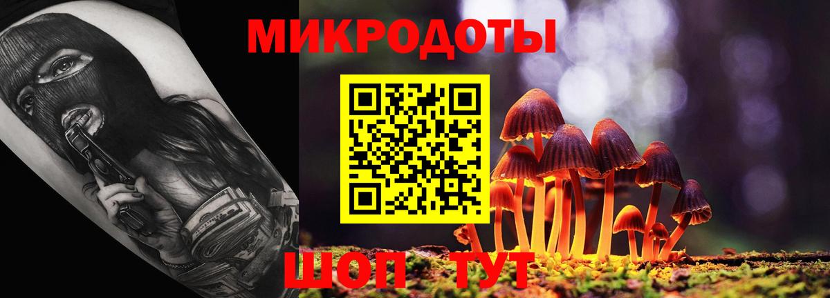 Псилоцибиновые грибы GOLDEN TEACHER Рославль